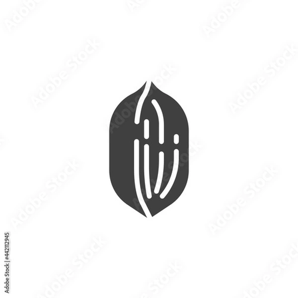 Fototapeta Pecan nut vector icon