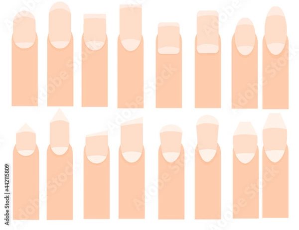 Fototapeta Fingers and nails.Different nail shapes.Ads for beauty salons.Sign, symbol, icon or logo.Flat design.Vector illustration.Set of hand gestures.