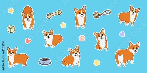 Fototapeta Big funny corgi stickers set. Great for greeting cards, design and more.