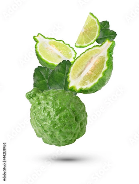 Fototapeta  bergamot isolated  on white background