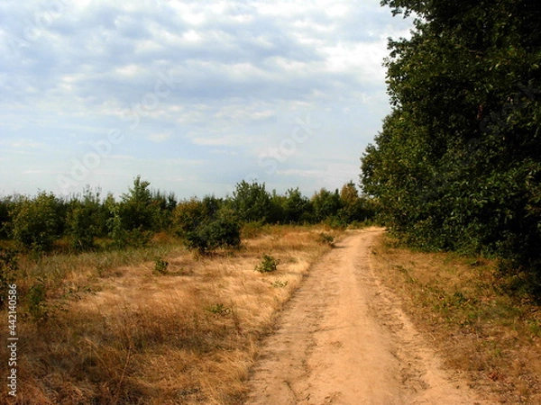 Fototapeta Path to nowhere