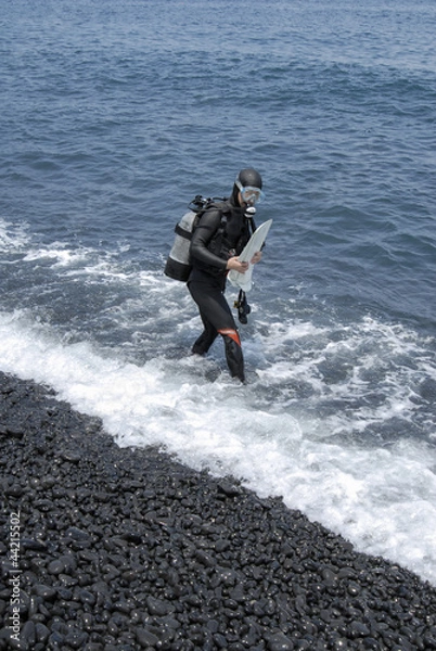 Obraz ビーチダイビング