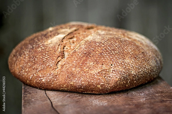Obraz Bread