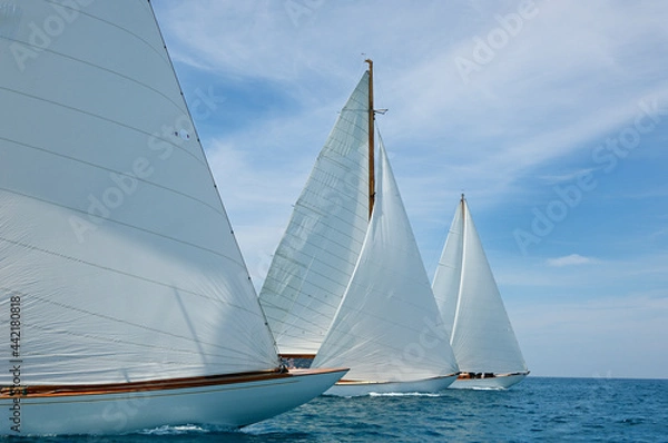 Fototapeta sails in the wind in the mediterranean sea