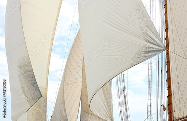 Fototapeta sails in the wind in the mediterranean sea