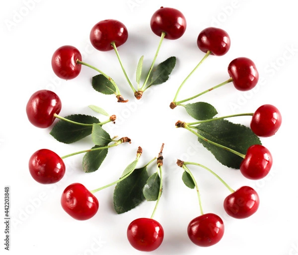 Obraz Circle of cherry berries with leaves