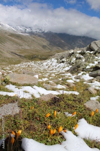 Obraz Kachkar _ Turkey