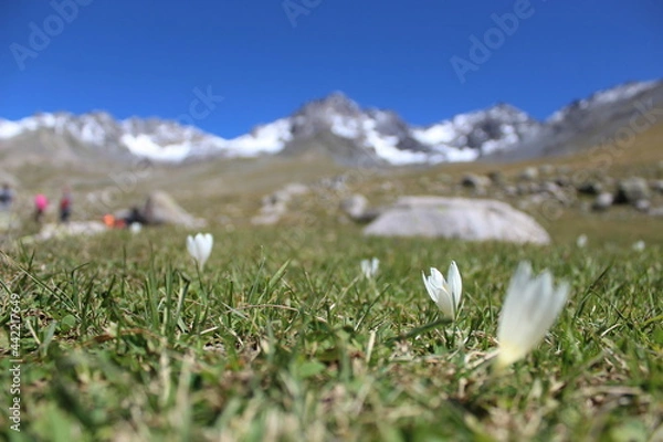 Obraz Kachkar _ Turkey
