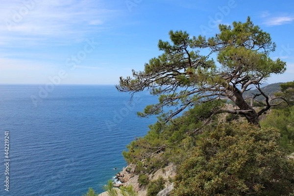 Obraz Lycian Way_Turkey