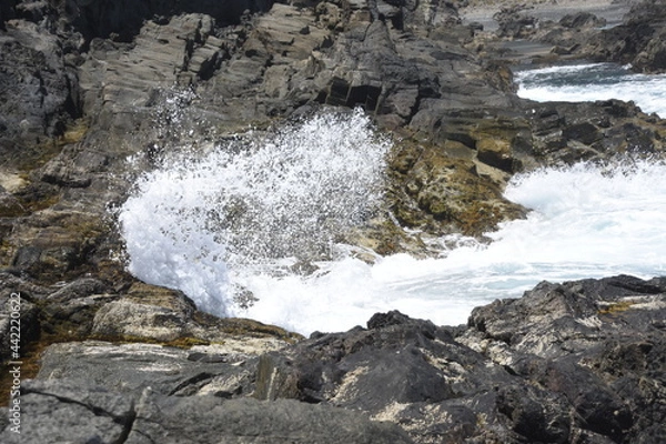 Fototapeta looking at the sea from the cliffs