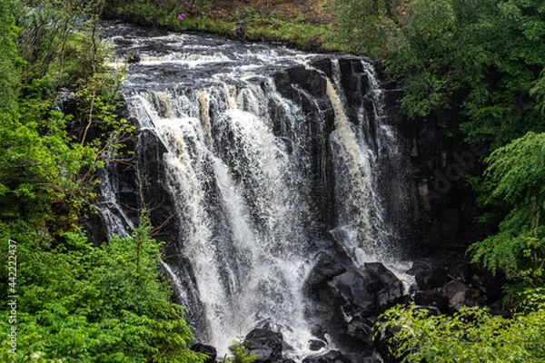 Obraz waterfall in the forest