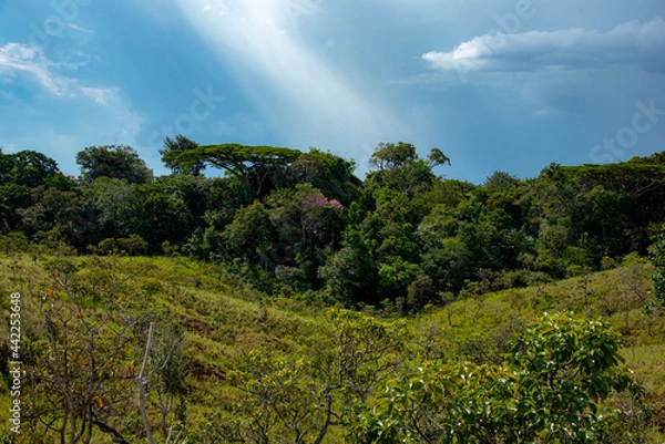 Obraz Vale com uma floresta e ao fundo com céu azul.