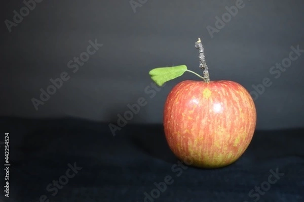 Obraz red apple on a black background