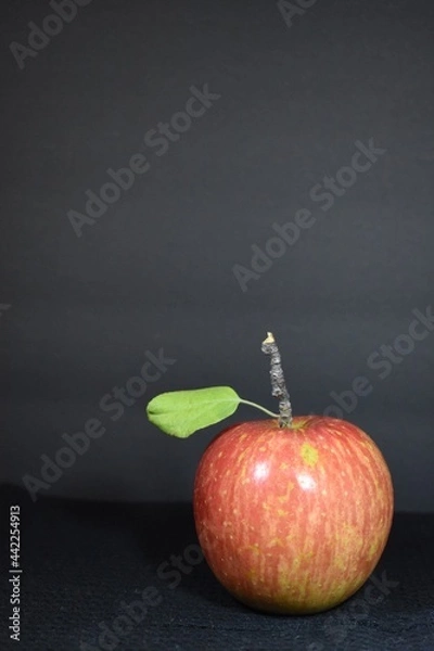 Obraz red apple with black background 