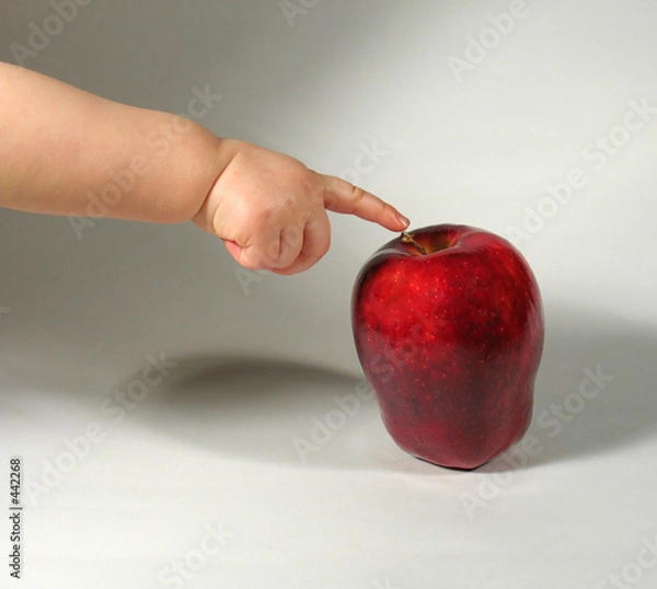 Fototapeta the first contact