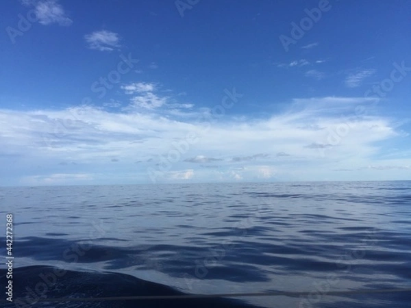 Obraz Caribbean Ocean