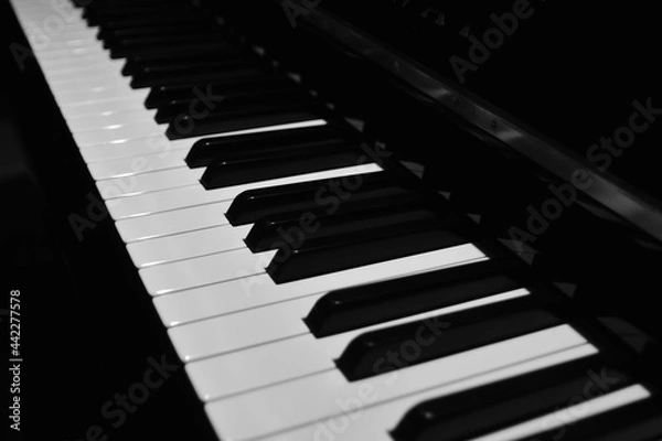 Obraz piano keys close up
