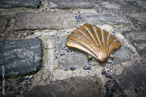 Obraz Santiago Route Pilmgrim Shell