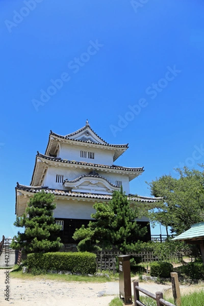 Fototapeta 初夏の丸亀城