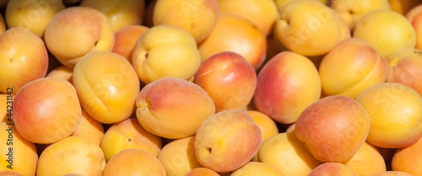 Fototapeta aprikose 2