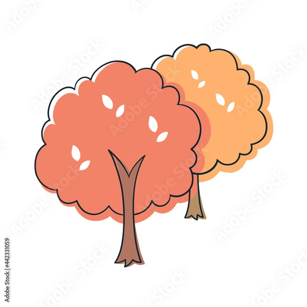 Fototapeta 紅葉の木 2本