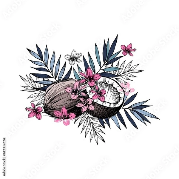 Fototapeta Image of coconut fruits, leaves and pink flowers. Artistic graphics. Colorful vector illustration.