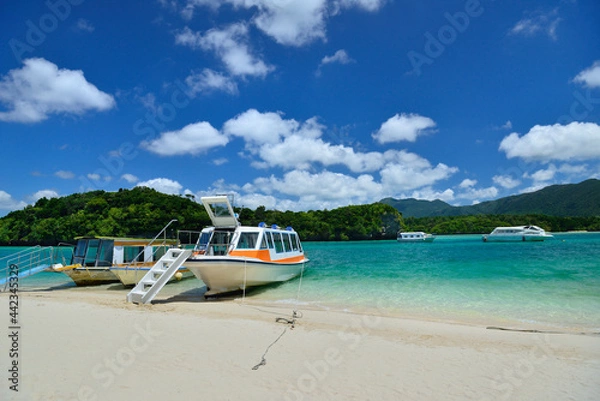 Fototapeta 沖縄県　石垣島の海　川平湾