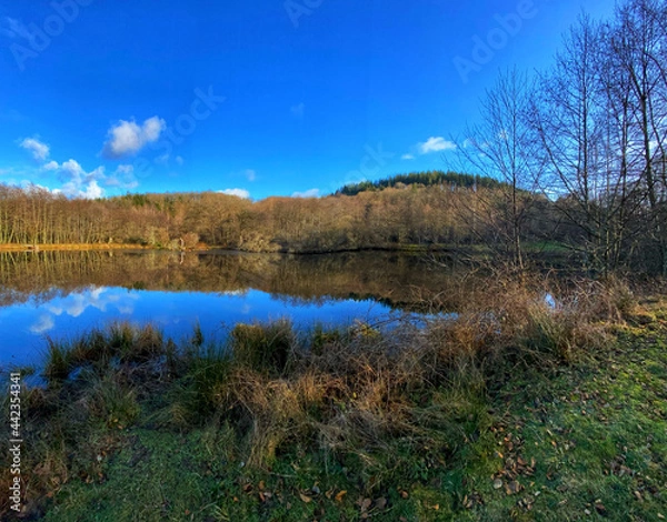 Obraz lake in autumn