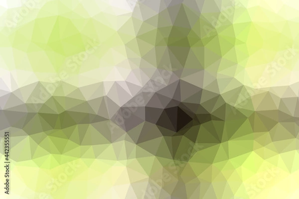 Fototapeta Abstract low polygon background