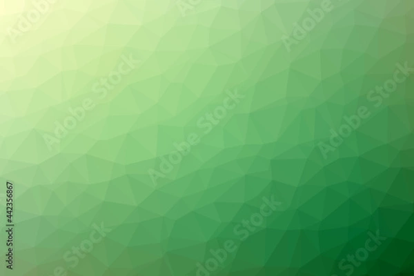 Fototapeta Abstract low polygon background