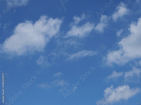 Obraz blue sky with clouds