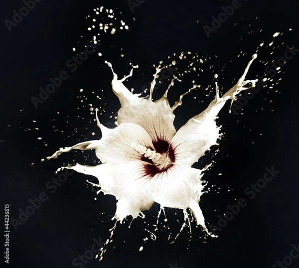 Obraz white splash flowers