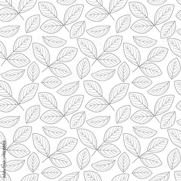 Fototapeta The contours of the leaves. Seamless vector black and white pattern. Outlines of leaves on a white background.