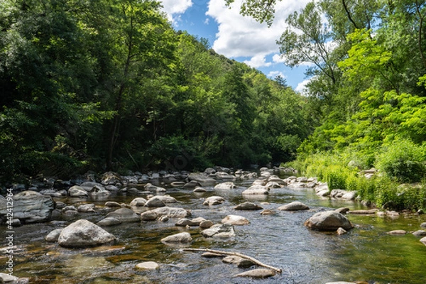 Obraz une rivière en forêt et ses rochers répartis