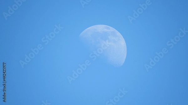 Obraz Daytime moon on a blue sky background