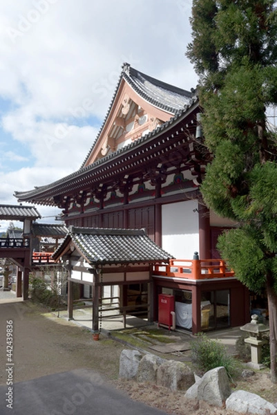 Fototapeta 本圀寺　本堂　京都市山科区