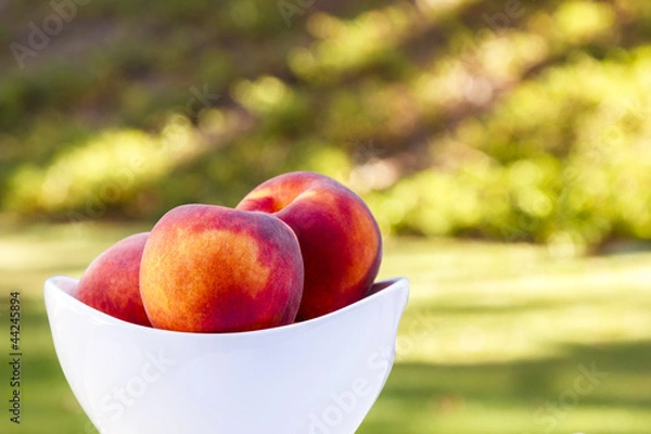 Obraz Backyard Peaches