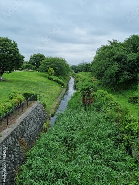 Obraz path in the garden