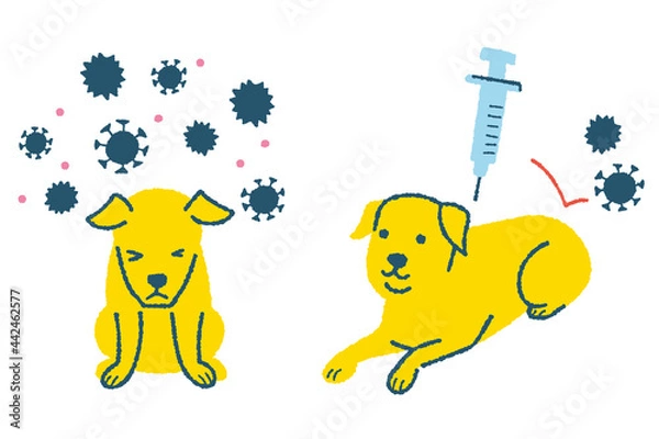 Obraz ウィルスに感染する犬と注射をする犬のイラスト
