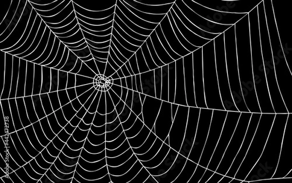 Obraz Spider web on black background with path