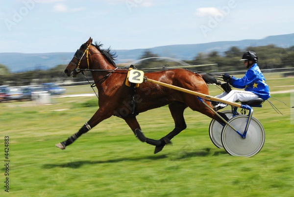 Obraz kłus zaprzężony