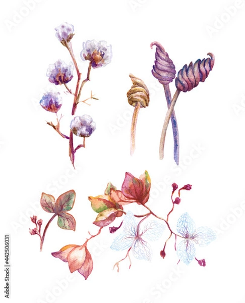 Obraz Collection of dry plants for autumn bouquet. Whatercolor floral isolated elements for greeting cards and invitations.