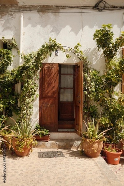 Obraz Ibiza streets IX