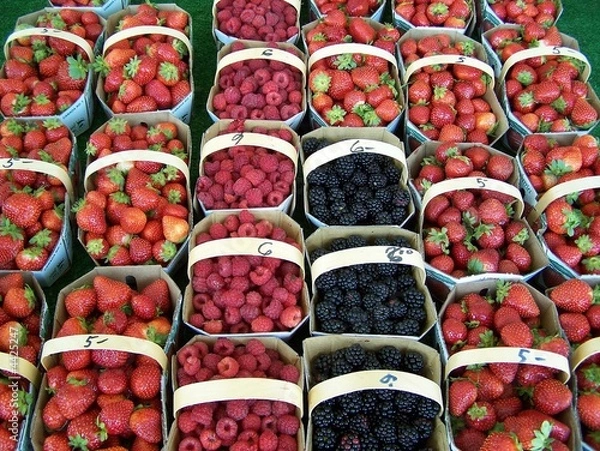 Obraz Berrys