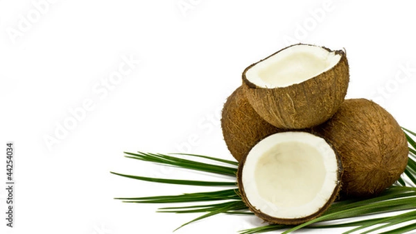 Fototapeta Kokos