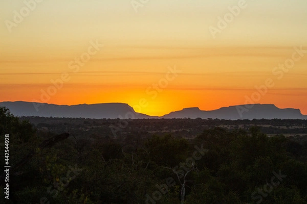 Fototapeta bushveld landscape