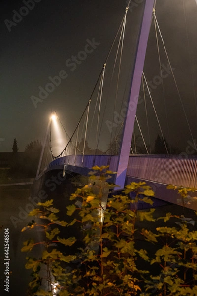 Obraz Brücke im Nebel