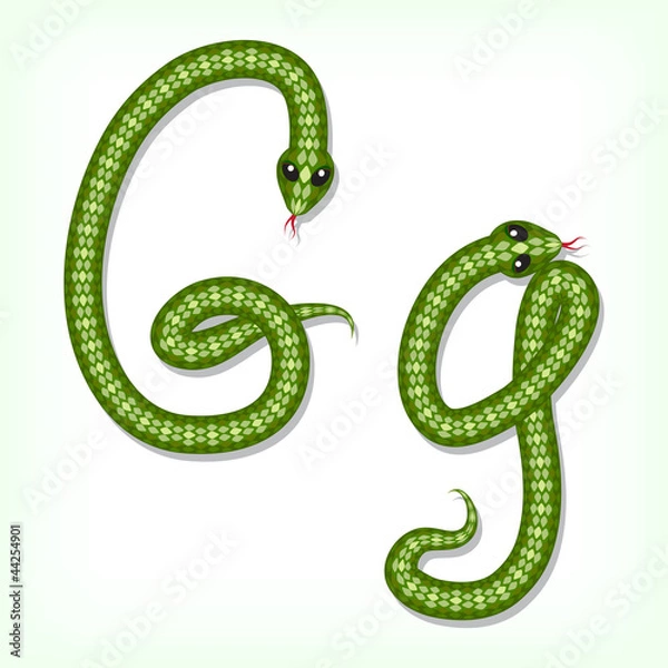 Obraz Czcionka węża. Litera g