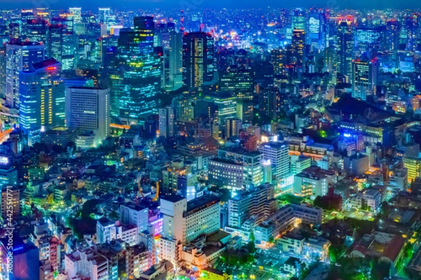Fototapeta 東京の夜景