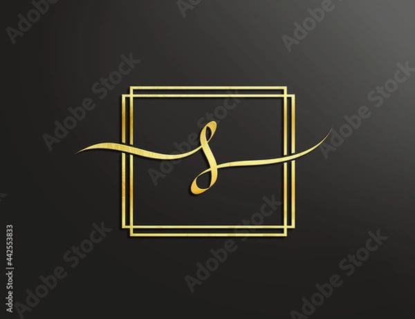 Obraz Letter S for your logo